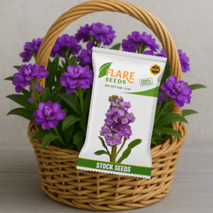 Stock Flower| Stock Flower Seeds For Planting By FLARE SEEDS. Pack Of 100 Seeds