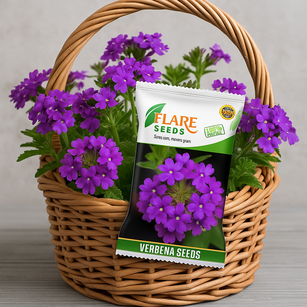 Verbena Flower for Gardening, Balcony Gardening, Planting. (Pack of 100 Seeds)