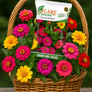 Zinnia Flowers Mixed Color Seeds For Your Garden, (Pack of 100 Seeds)