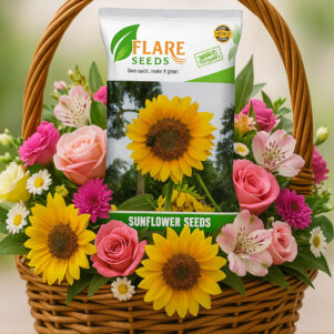 Sunflower Seeds for Planting and Gardening (100 Seeds) - Best for Home Gardening