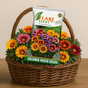 Gazania Mix color flower seeds for home gardening plant Seed  (200 per packet)