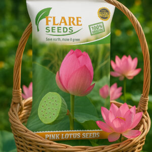 Pink Lotus Flower Seeds For Home Garden- Grow Indoor & Outdoor
