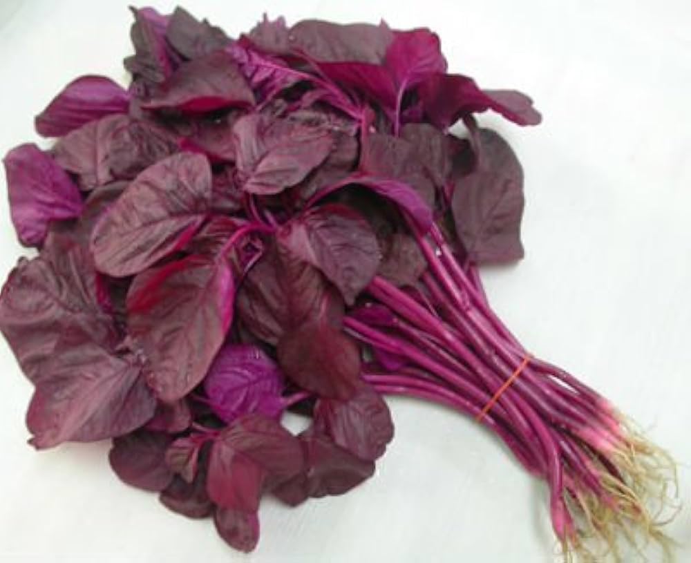 Amaranthus