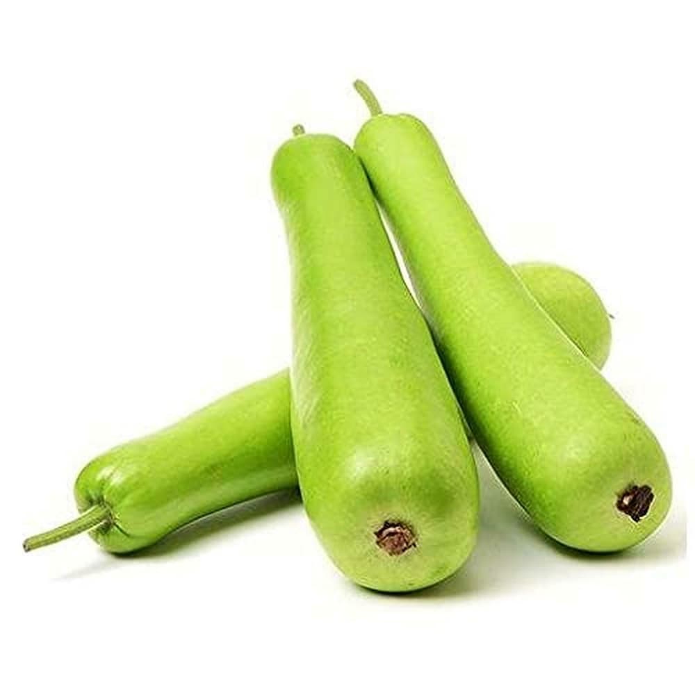 Bottle Gourd Long Seeds for Home & Terrace Gardening | Indoor & Outdoor Vegetable Seeds - Pack of 50 Seeds - Image 3