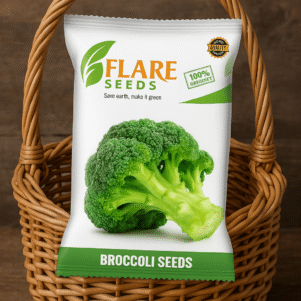Broccoli Seeds