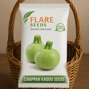 Chappan Kaddu Seeds