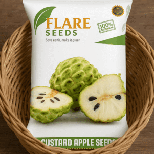 Custard Apple Seeds