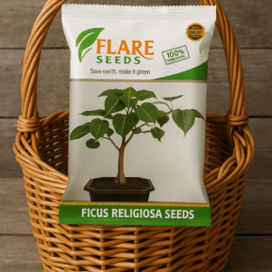 Ficus Religiosa Seeds