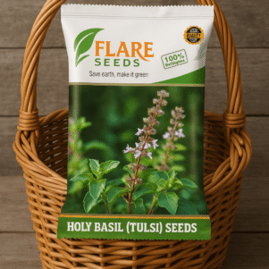  Holy Basil Rama Shyama Tulsi Seeds