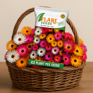 Ice Plant Flower Seeds