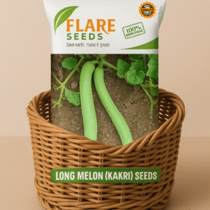 Long Melon Seeds
