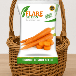 Orange Carrot Seeds