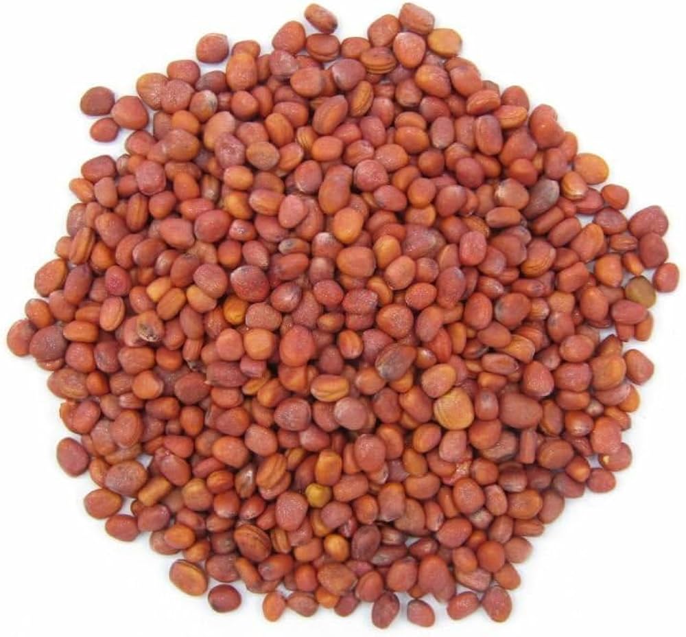 Radish Red seeds image