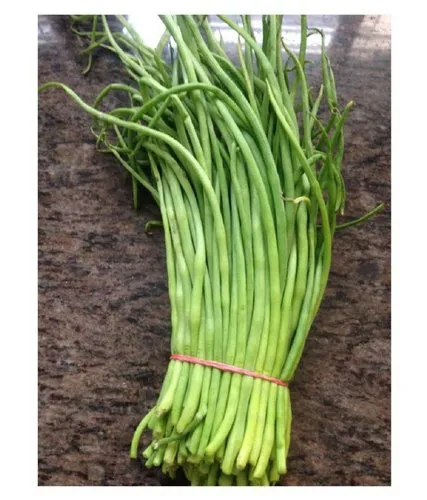 Singra Vegetable Seeds For Kitchen Gardening (Pack Of 100 Seeds) - Image 4