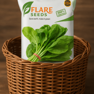 Vegetable Spinach Seeds