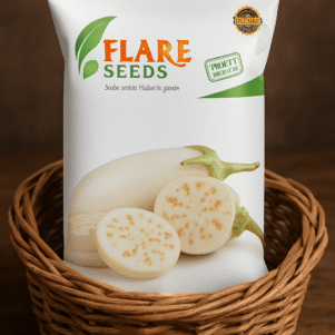 White Brinjal Seeds