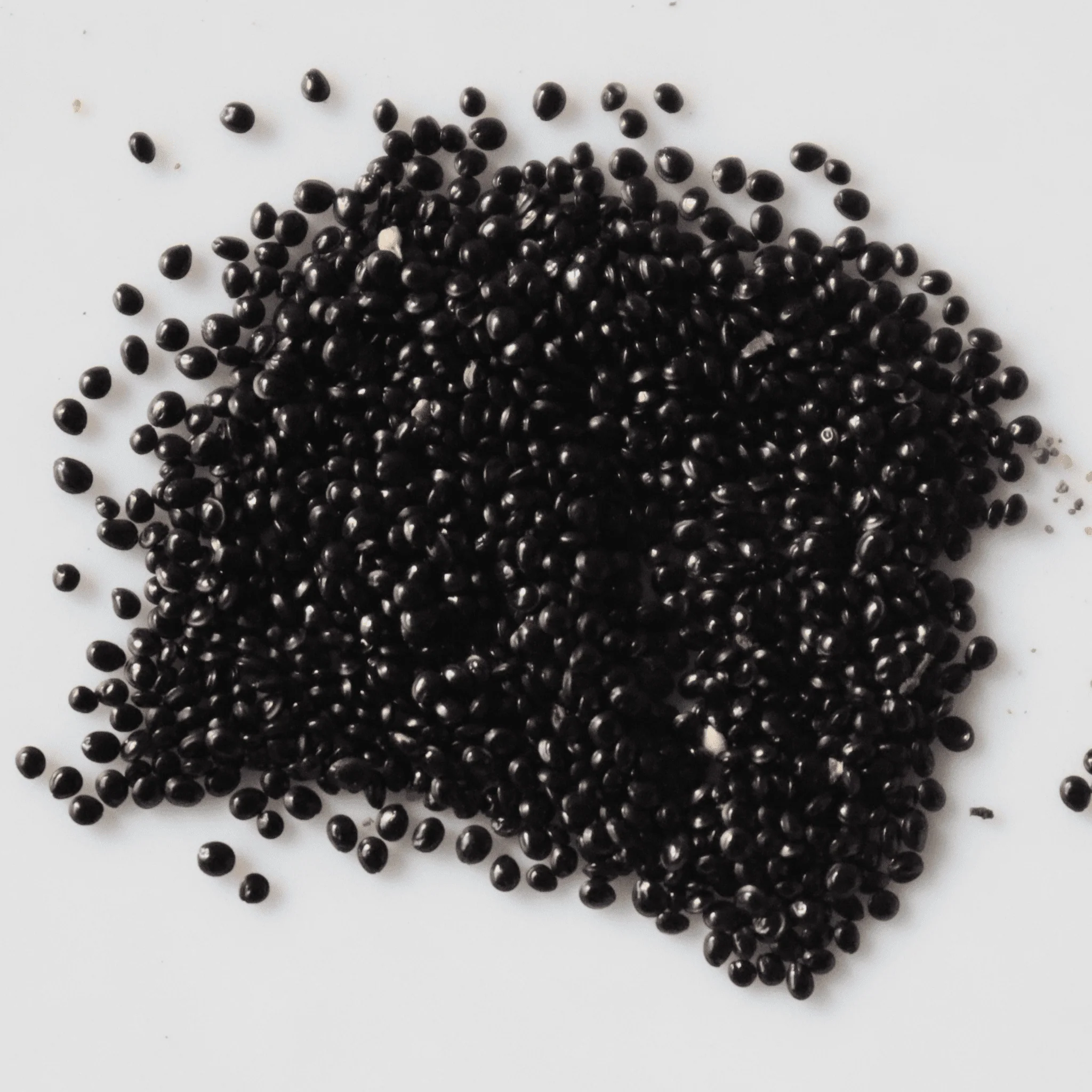 amaranthus red seeds