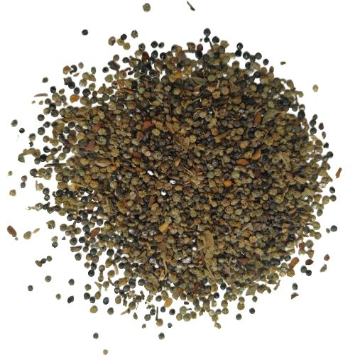 bathua seeds